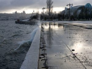 image-deniz