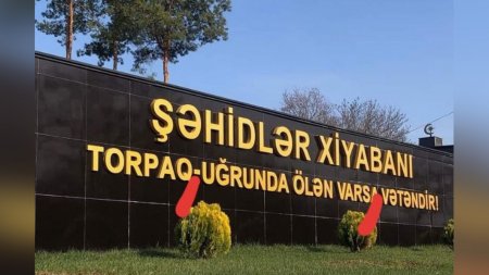 image-1679919512_0001