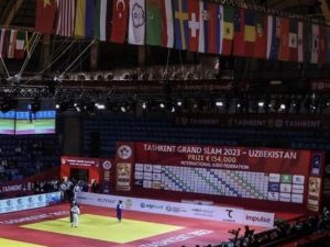 image-1e018619-0b89-32c5-ab5e-f9de6bd87637_850-1