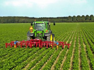 image-619e53f6-2341-3a4c-af72-c9bbc04692a3_850