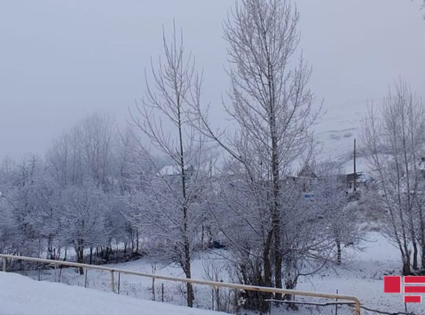 image-638c41f4e8784638c41f4e87851670136308638c41f4e8782638c41f4e8783