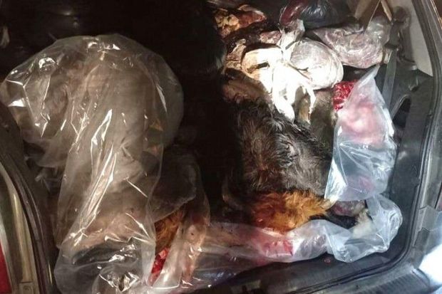 image-6b354cec-a38d-3435-8521-c73c22b6401d_850