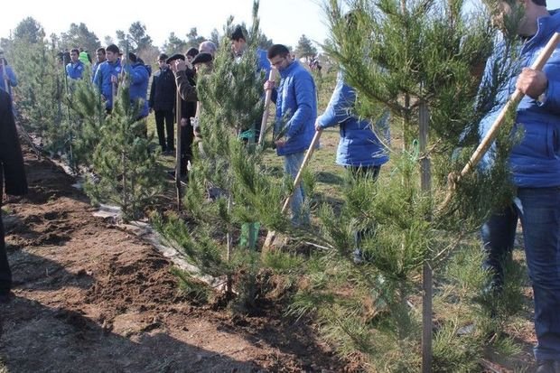 image-74e06114-9017-4ae6-866f-860bccceb000_850