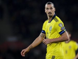 image-fod8bdnxsaqzzjv