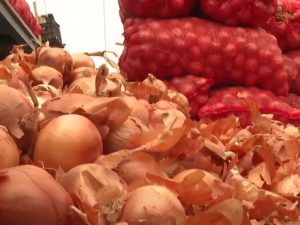 image-fotojet-2023-03-01t010009-747