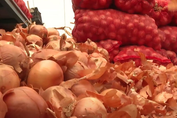 image-fotojet-2023-03-01t010009-747