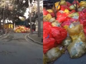 image-fotojet-2023-03-03t011431-177