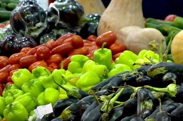 image-fotojet-2023-03-08t234333-744