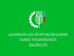 image-hcc7skszxgzjhnwavooyz8snyoh3ax39ccjx85yz