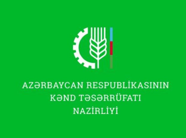 image-hcc7skszxgzjhnwavooyz8snyoh3ax39ccjx85yz