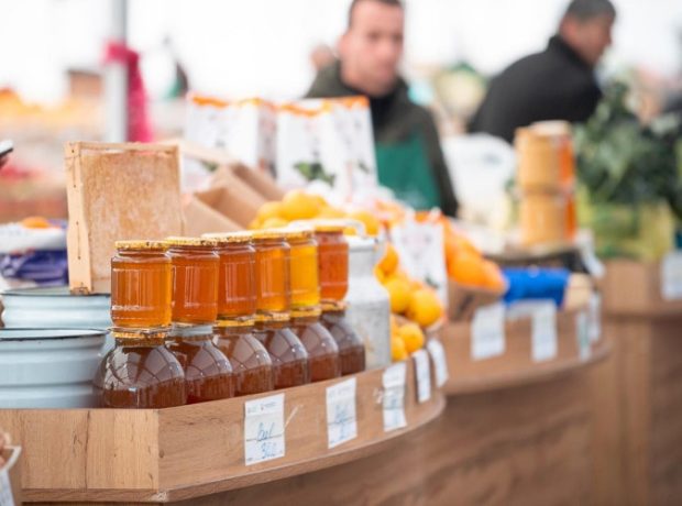 image-obkwxlpmbqy27n3s6eu9gffkh1lis4z7co4umqt2