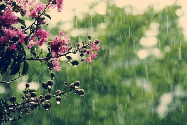 image-15537647594282328536_1200x630