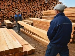 image-1680771187_39aa1d0e0e1463d51555cba1f9c96a96