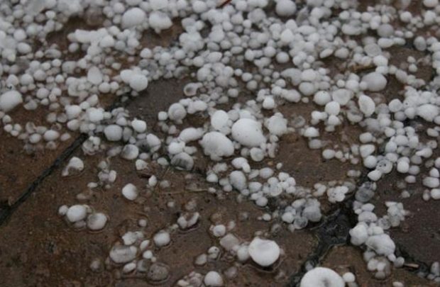 image-1682423106-912836-dolu