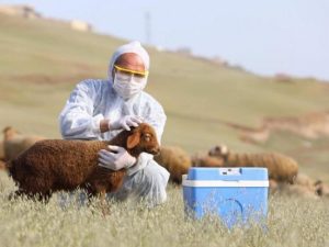 image-60ffa529168a160ffa529168a2162736669760ffa5291689f60ffa529168a0