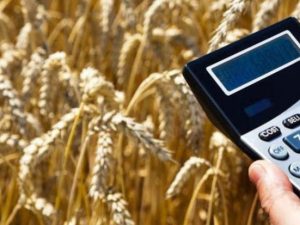 image-6435329534ffb6435329534ffc16812079576435329534ff96435329534ffa