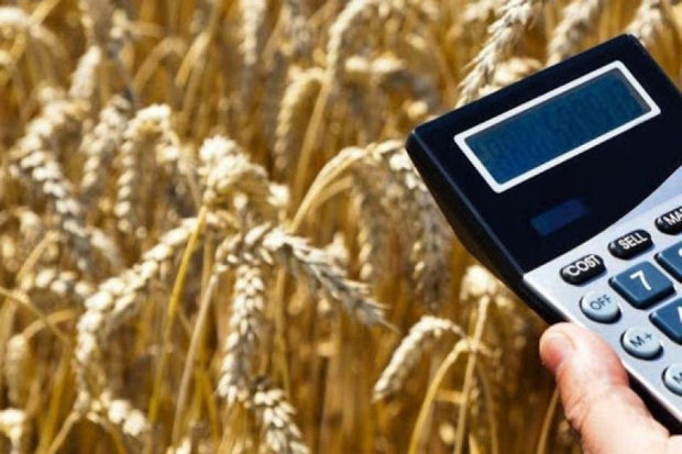 image-6435329534ffb6435329534ffc16812079576435329534ff96435329534ffa