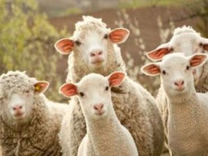 image-643fa4d292e7d643fa4d292e7e1681892562643fa4d292e7b643fa4d292e7c