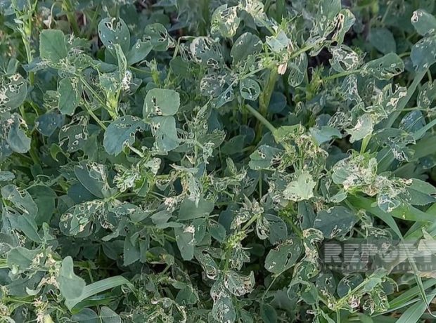 image-ae2a12eb-98a8-3088-baa9-ad91aae61607_850