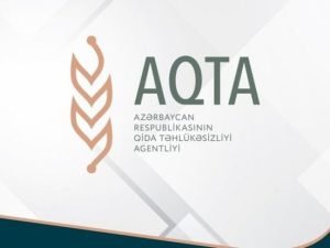 image-b37060a1-60ec-3b47-a314-0abef3906d50_850-1-1