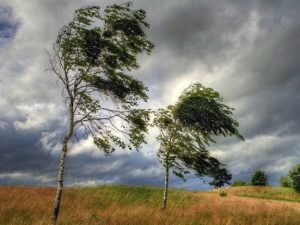 image-be3b58d6-c2e9-38a4-ba0c-278f370f8439_850-2-1-1