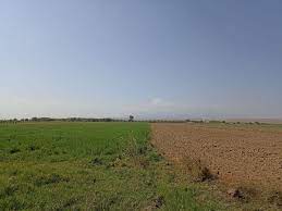 image-bez-nazvaniya-1