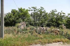 image-bez-nazvaniya-2