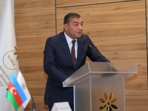 image-ceda2911-f43a-46b5-b06c-24e981e3fe6c