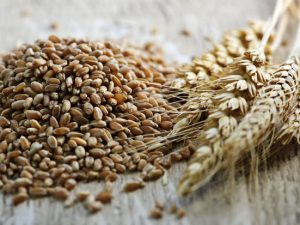 image-fotojet-2023-04-11t162424-007