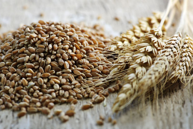 image-fotojet-2023-04-11t162424-007