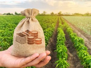 image-fotojet-2023-04-12t175306-860-1