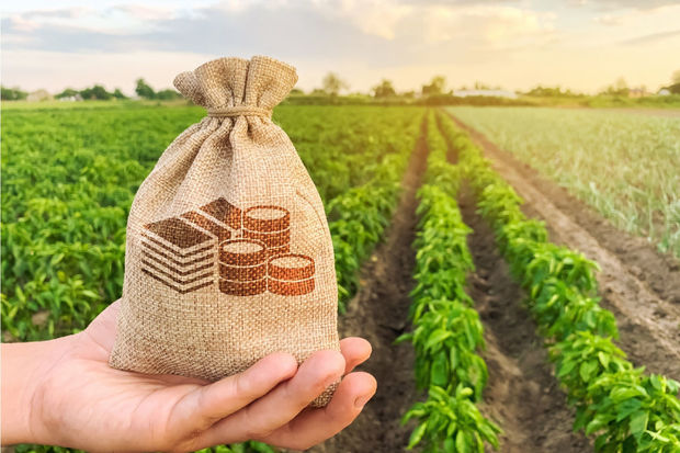 image-fotojet-2023-04-12t175306-860-1