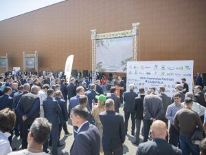 image-klr9s5l9c2yg1srrovuedjeqsir70ytbjfwgcxa0