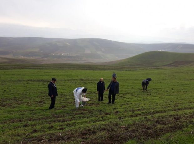 image-xgggteo7y5orumq0whz2pybt4ppqapoqqhfgwzjm