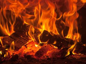 image-depositphotos_3848946_l-2015-pic905-895x505-30608