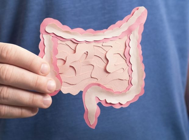 image-shutterstock_1984197083-pic_32ratio_1200x800-1200x800-58107