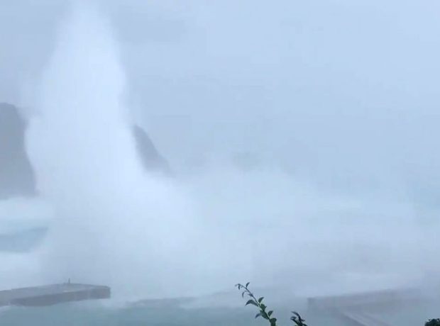 image-upload-rts2qu7u-pic905-895x505-29025