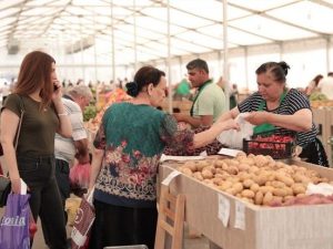 image-0a06f241-9c7a-326f-9c34-420c9ce04614_850