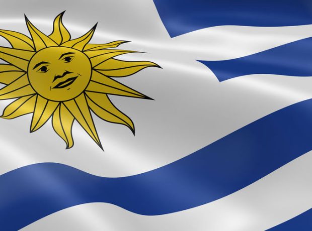 image-depositphotos_3147700_l-2015-pic905-895x505-11664