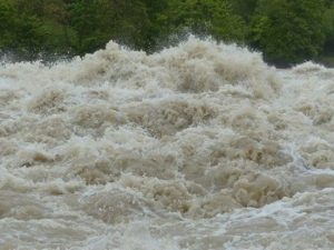 image-f28ebe66-af56-3c6d-bf3f-1b18d51eaaec_850