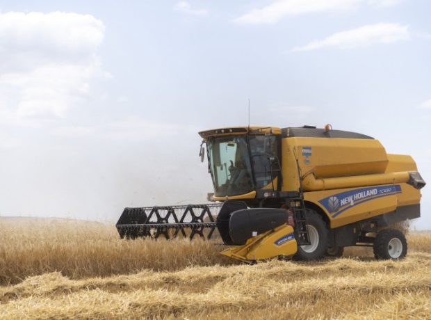 image-ikiqedl5shxpcput16aquiaqvd9o3mvbm7zyf5gt