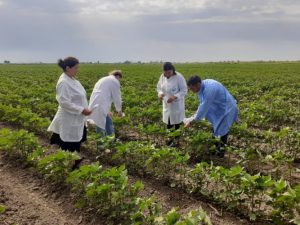 image-ivdbgoam5vqnbcuuhj40ijjoxanmuhi5eosqbuhu