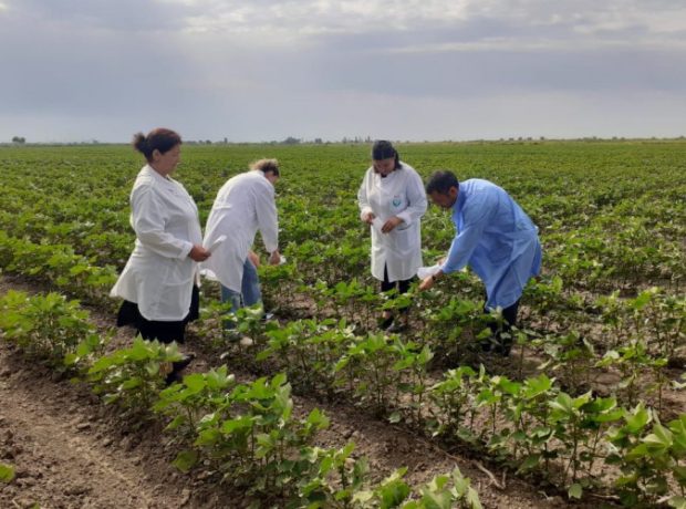 image-ivdbgoam5vqnbcuuhj40ijjoxanmuhi5eosqbuhu