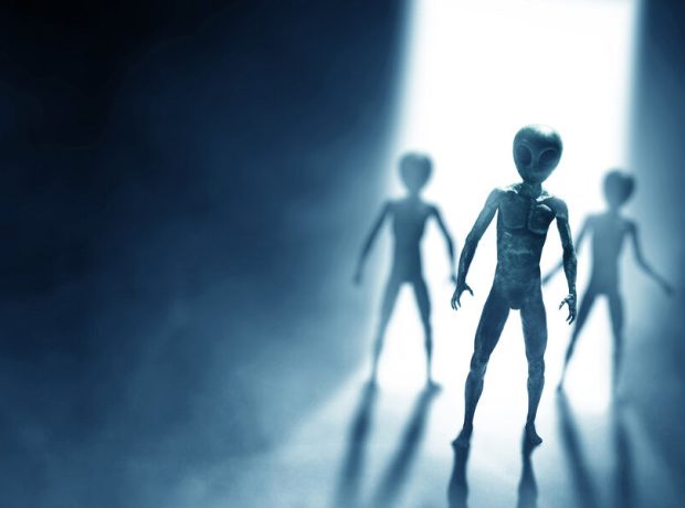 image-shutterstock_2108181176-pic_32ratio_900x600-900x600-52317