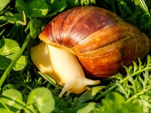 image-shutterstock_779802916-pic_32ratio_1200x800-1200x800-94596