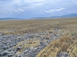 image-whatsapp-image-2023-06-12-at-172204