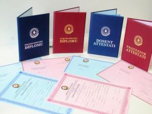 image-6f9cd3c0-bb67-338e-8faa-14ccbb234cda_850