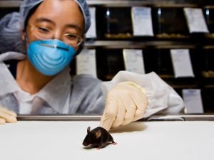 image-depositphotos_2739429_xl-2015-pic_32ratio_900x600-900x600-7089