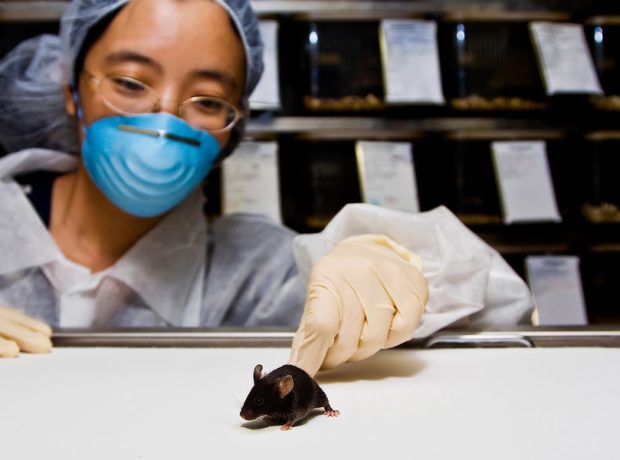 image-depositphotos_2739429_xl-2015-pic_32ratio_900x600-900x600-7089