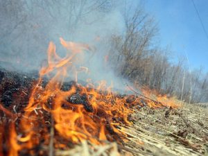 image-ekin_yangin_fire_240718__-3